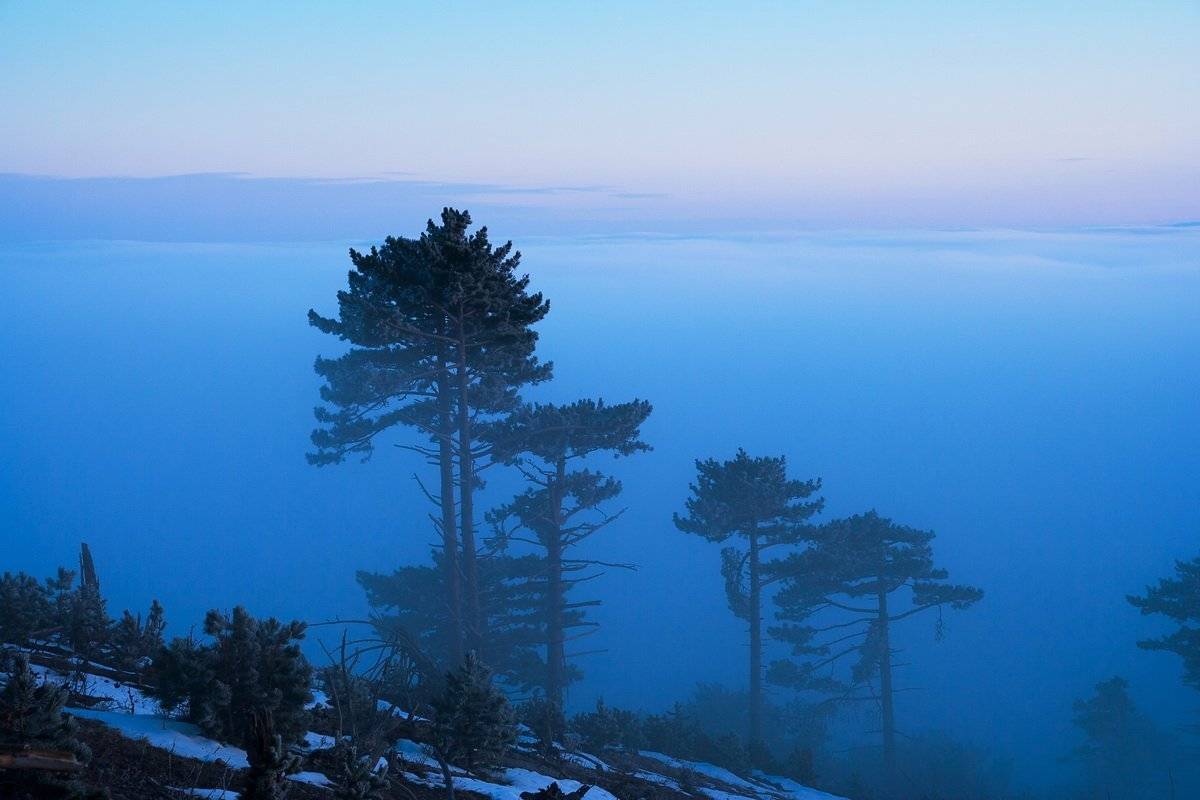 , Виталий Ра