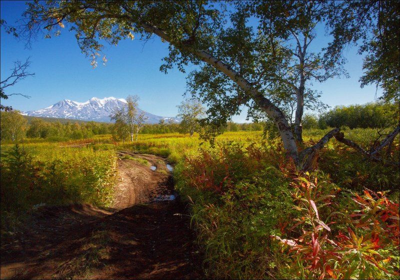 Дорога в Налычево. Камчатка. фото превью