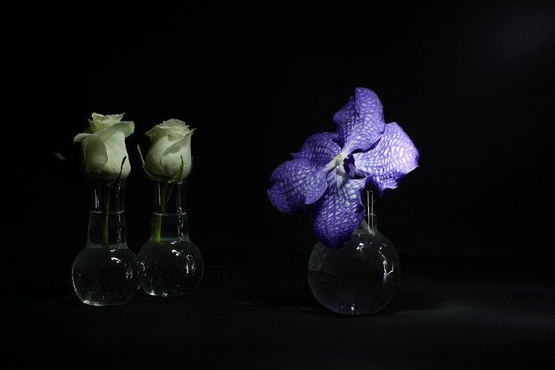 Трудный выбор фото превью