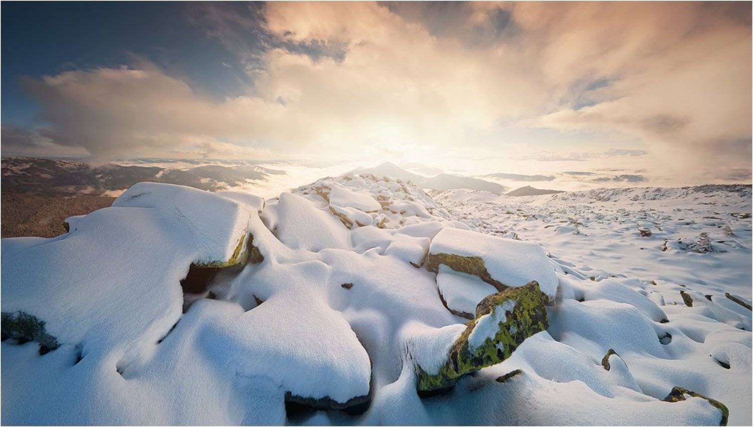 , Денис Кривой