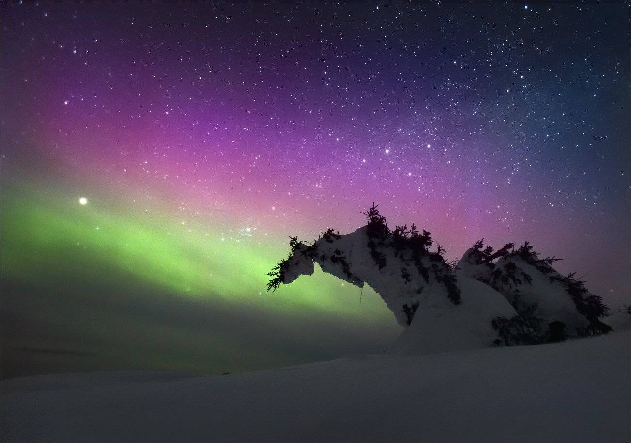 , Сергей Макурин