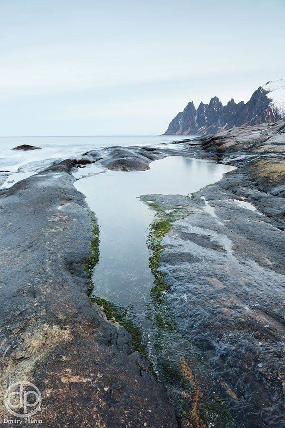 , Питенин Дмитрий