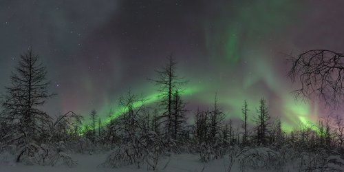 Северный край России и не только