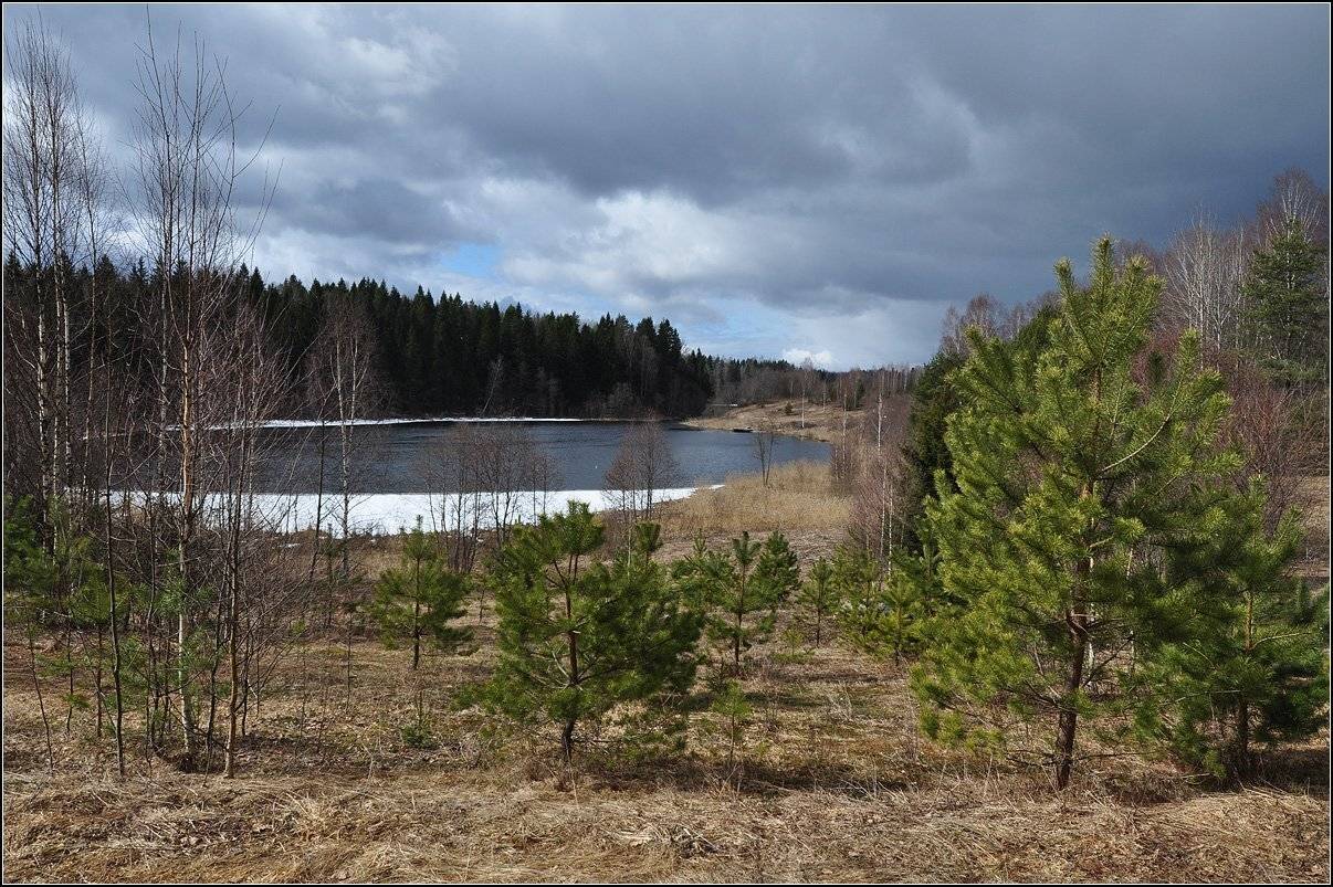 тверская обл., лес, озеро, лёд, облака, АНАТОЛИЙ ДОВЫДЕНКО