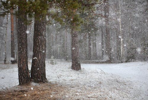 Апрельские неожиданные