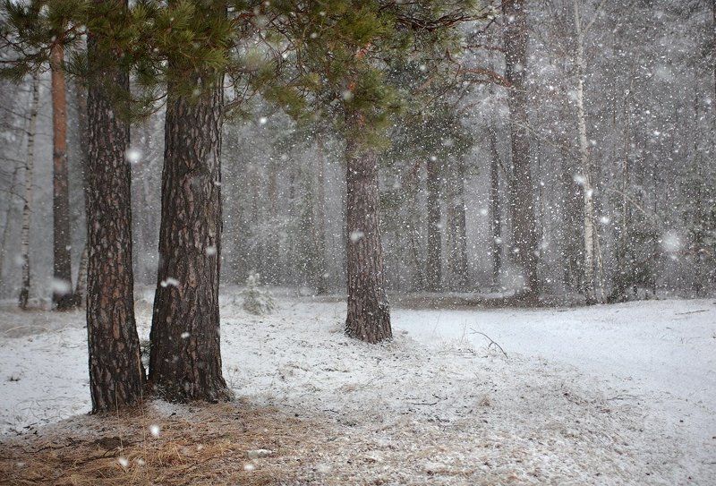 Апрельские неожиданные фото превью