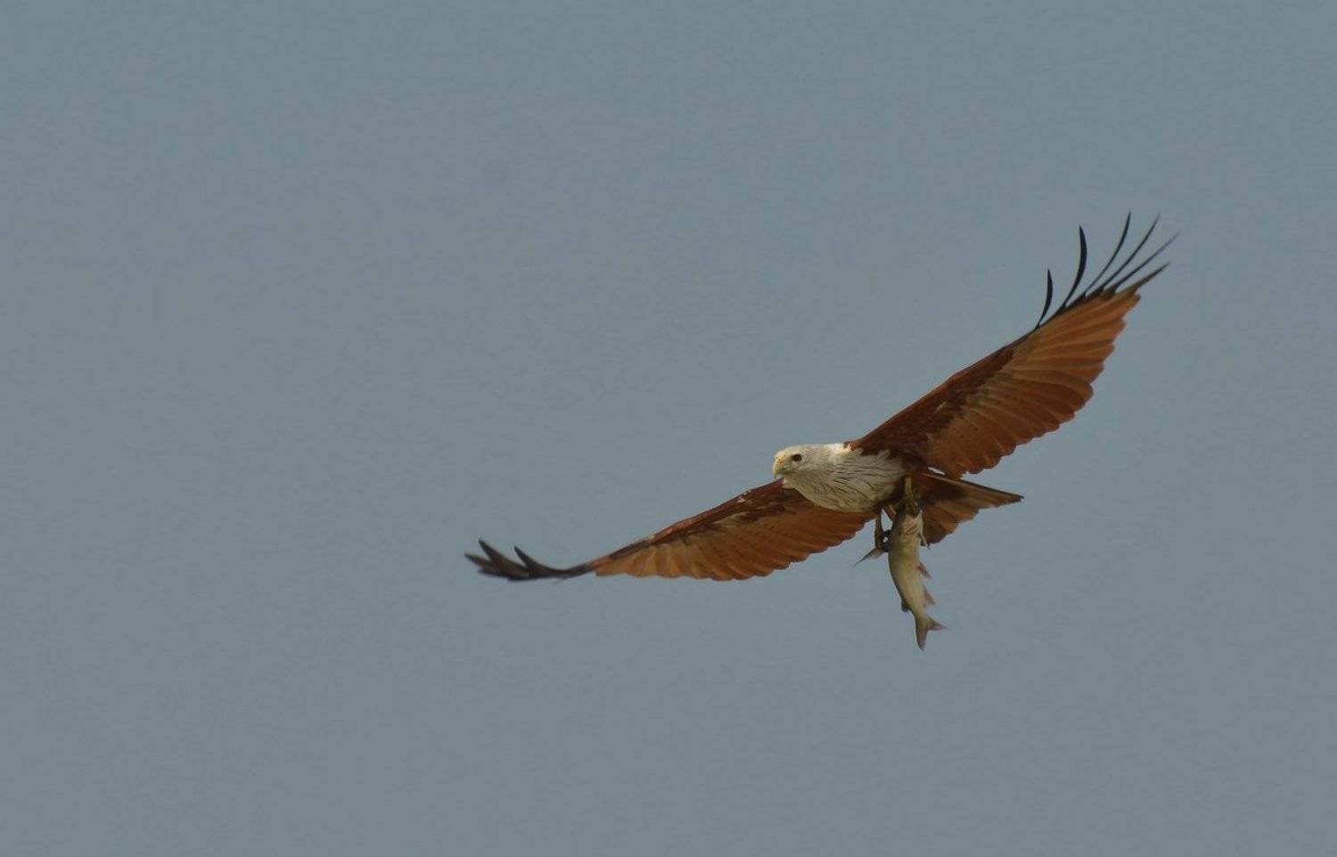 , Александр Юкарев