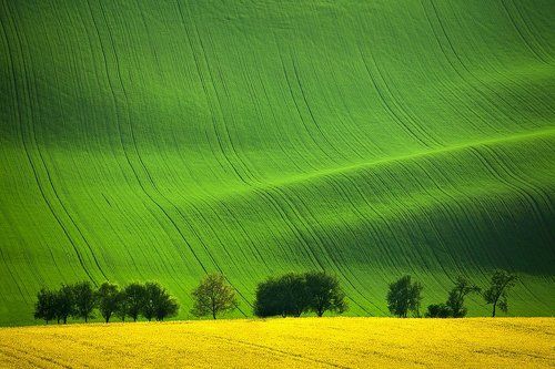 Spring Moravia IV