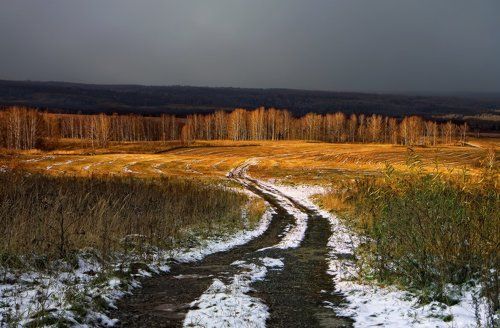 Осенние картинки