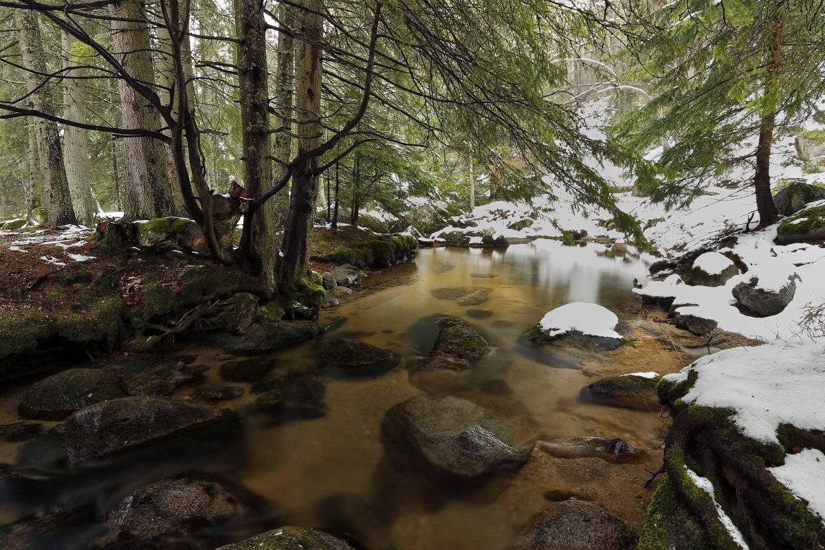 , Александър Сандев