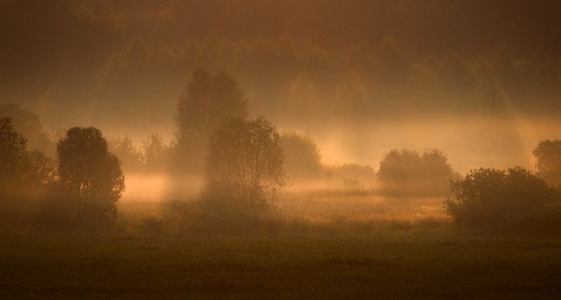 Сказочное утро фото превью