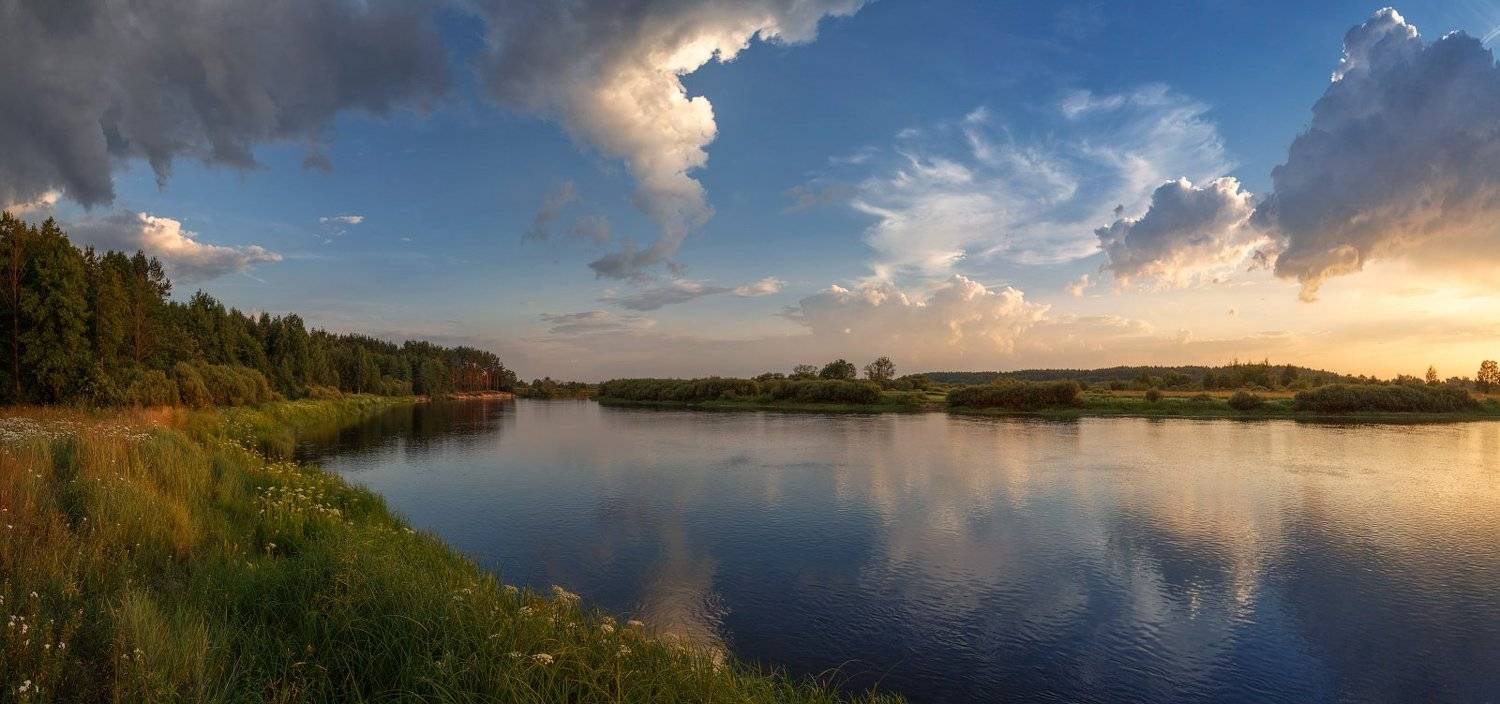 , Михаил Кушнер