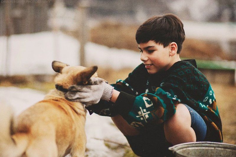 Утро фото превью