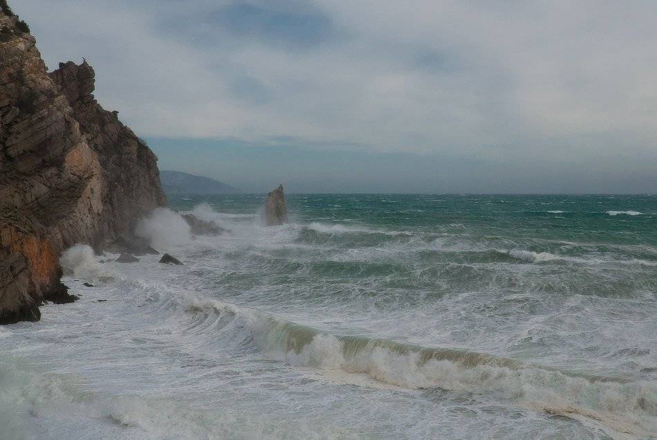 , Саша  Вайсберг / Waldschnepfe /