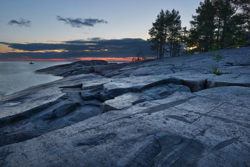 Что-то осетринки захотелось... фото превью