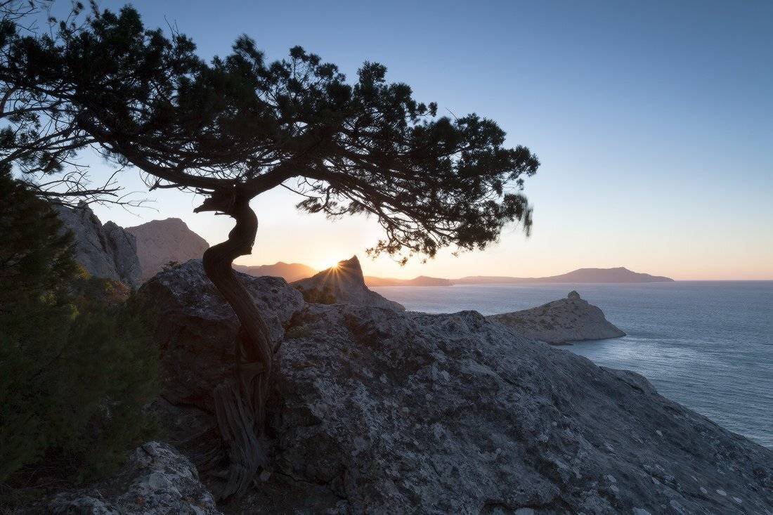 , Ярослав Тюрменко (Jaremi)