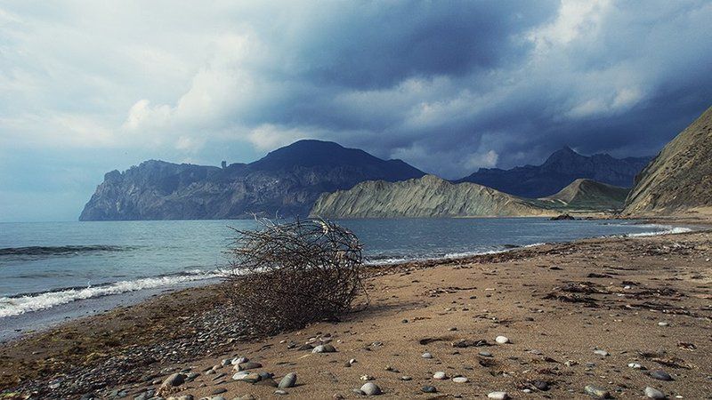 Dirty paws фото превью