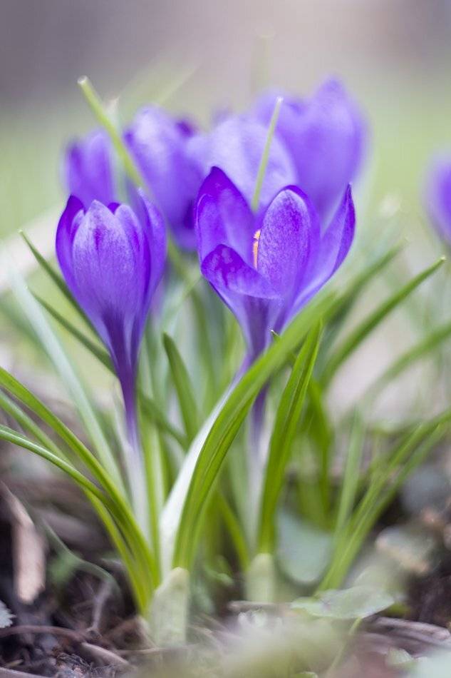 , Иваненко Светлана