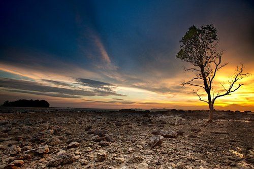 Недалеко от Марса