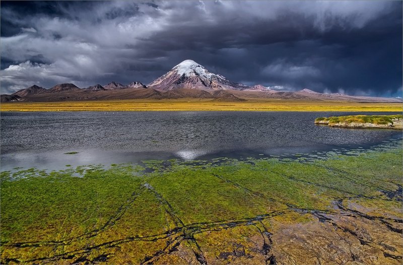 Про следы фото превью