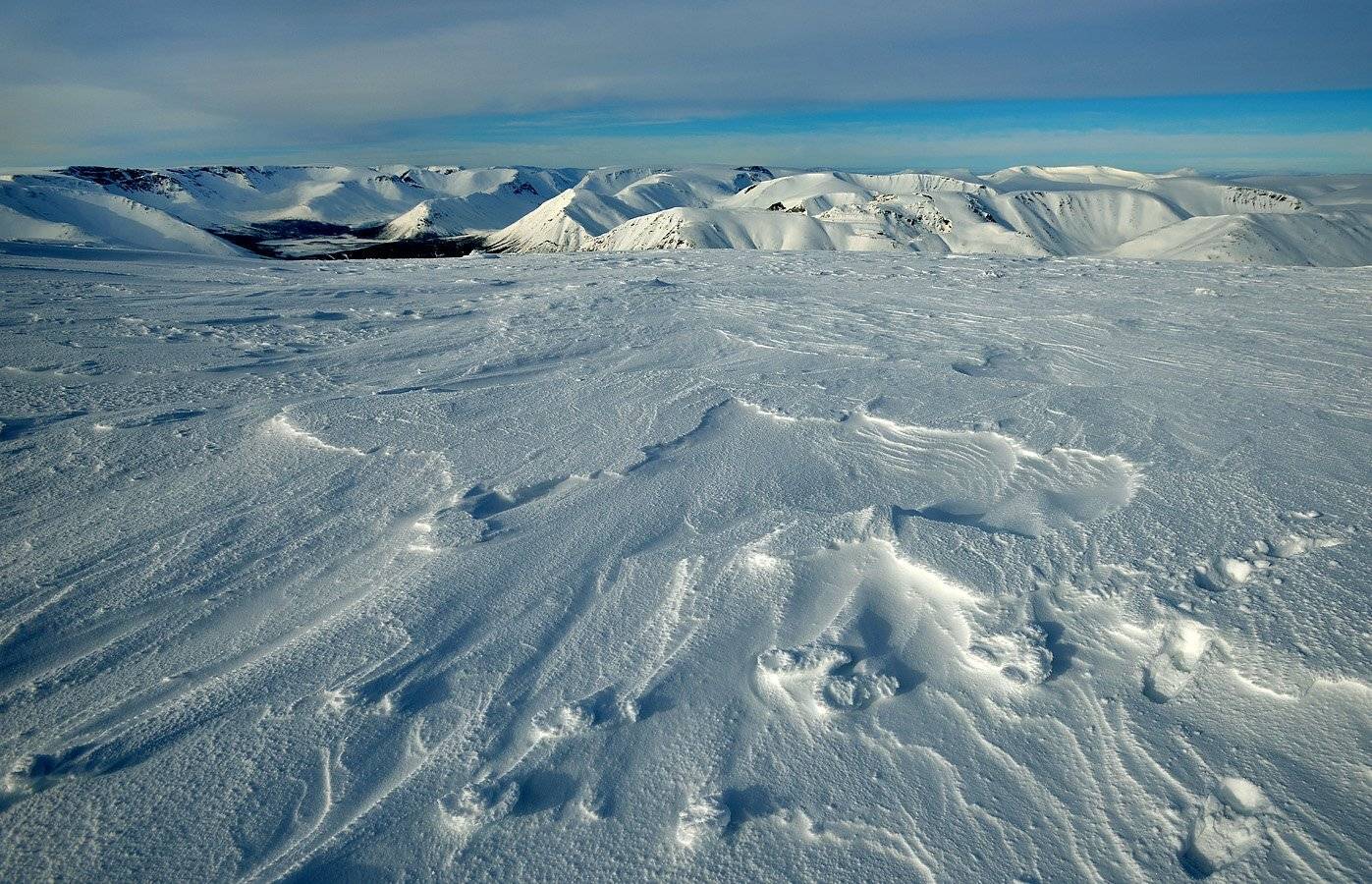 , Сергей Седов