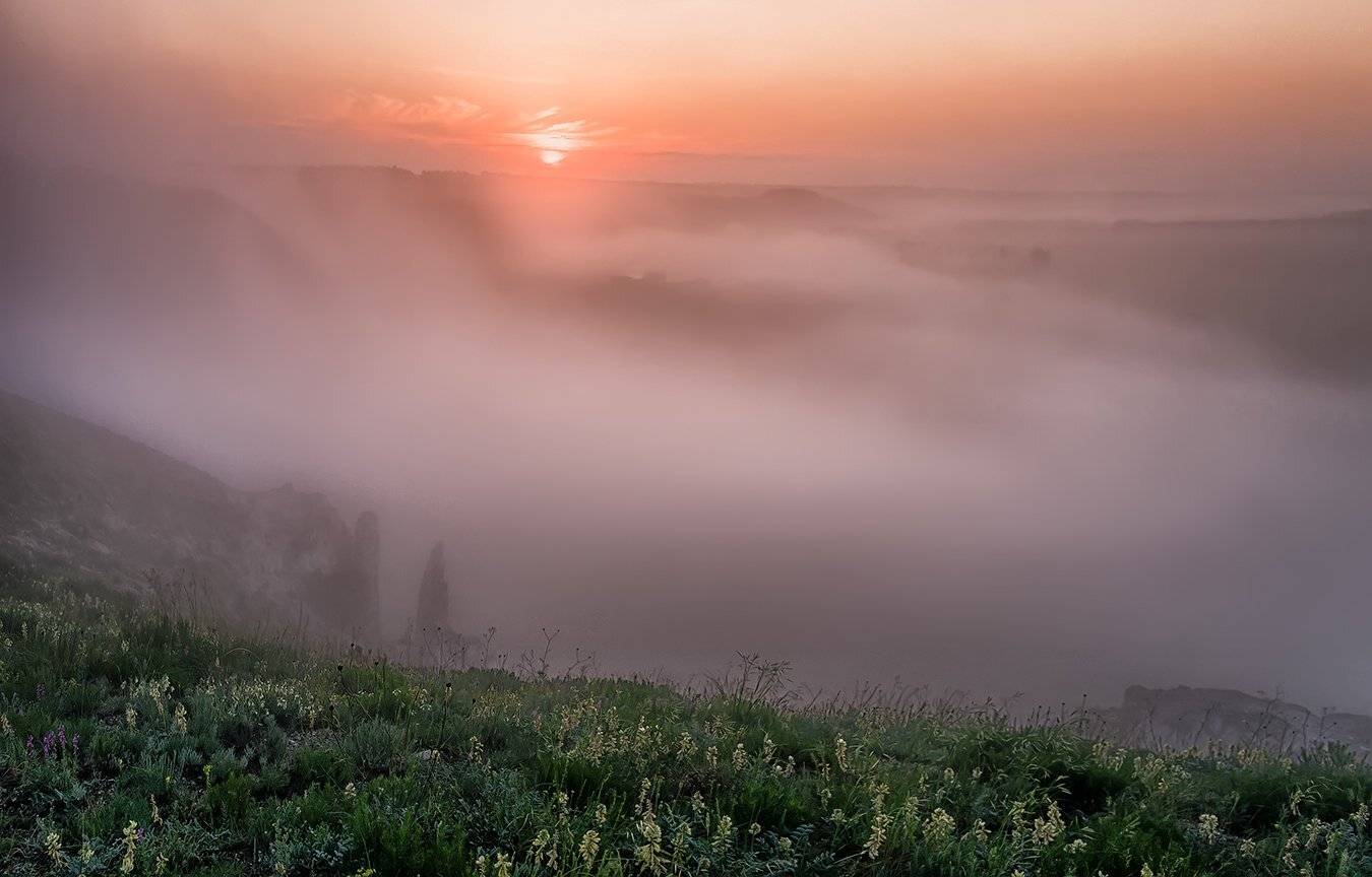 , Игорь Мелекесцев