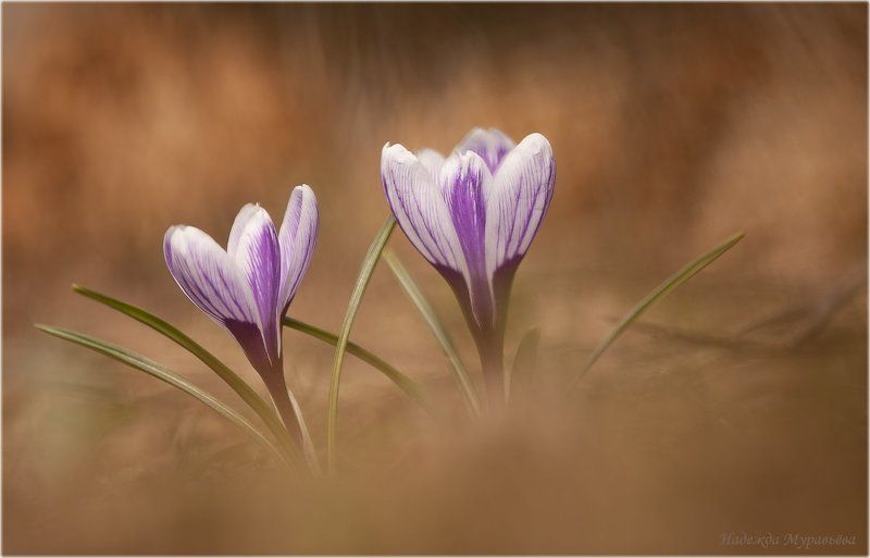 Обними меня фото превью