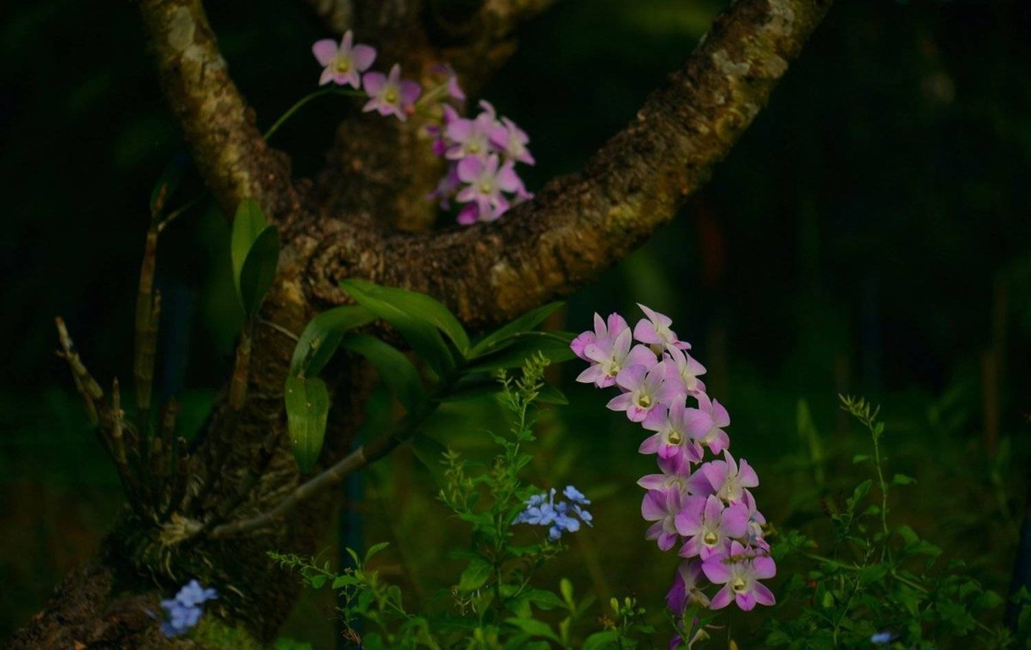 , Александр Юкарев