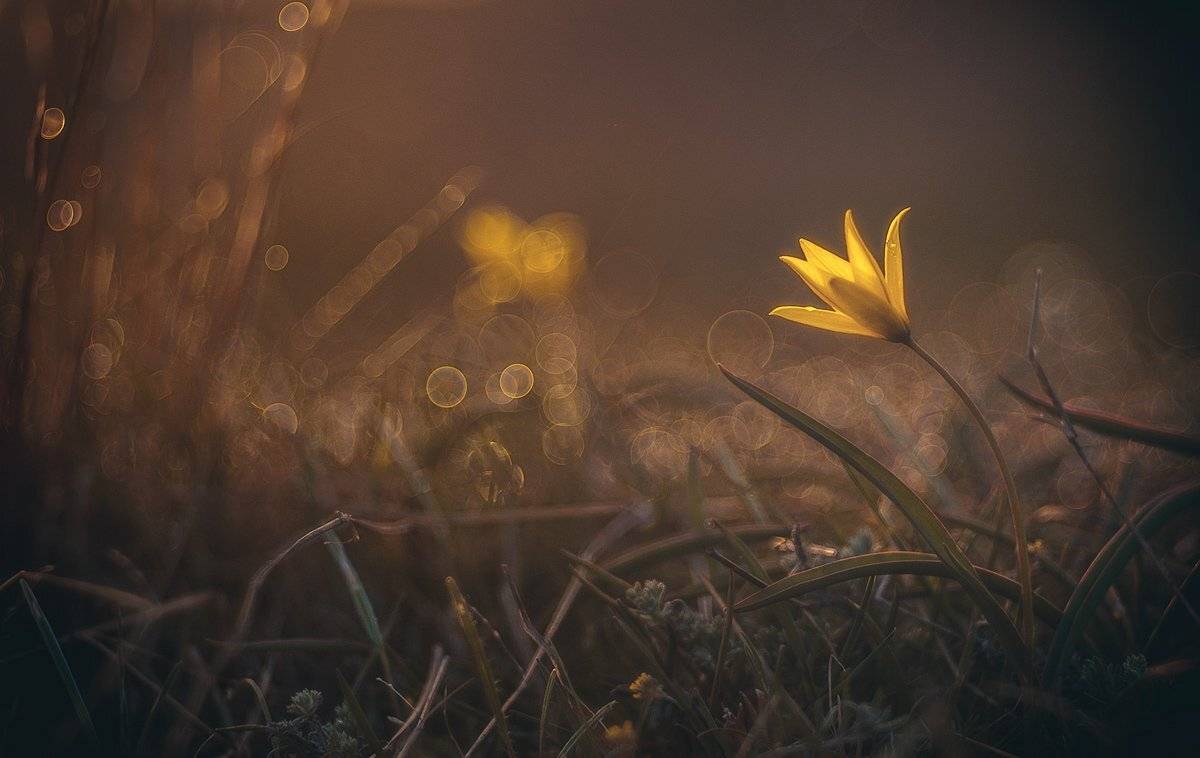 , Татьяна Аверина