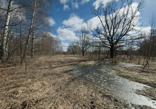 Прогулка по тропинкам весны...