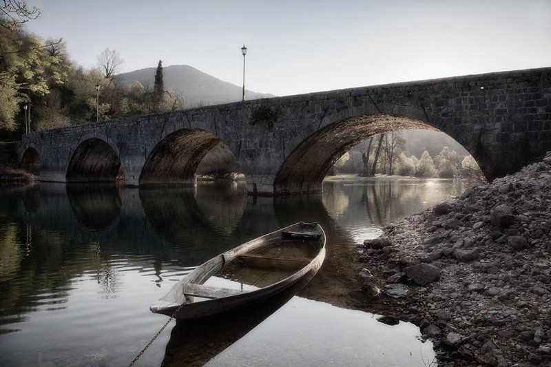 Still life фото превью