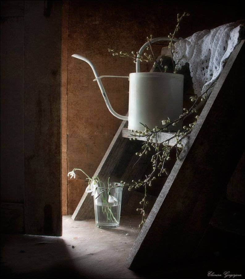 , Eleonora Grigorjeva