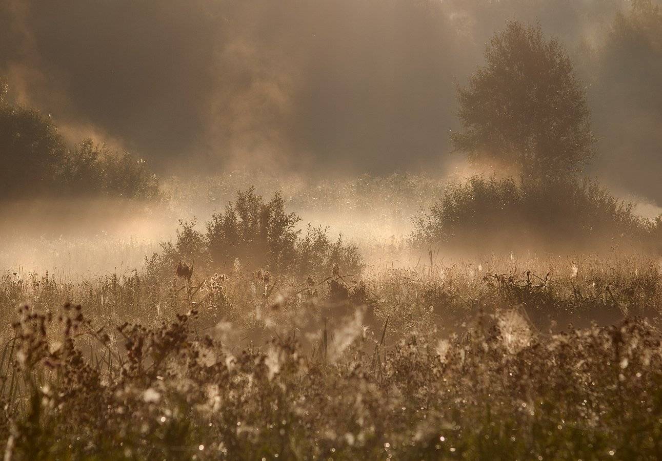 , Владимир Перепечаев