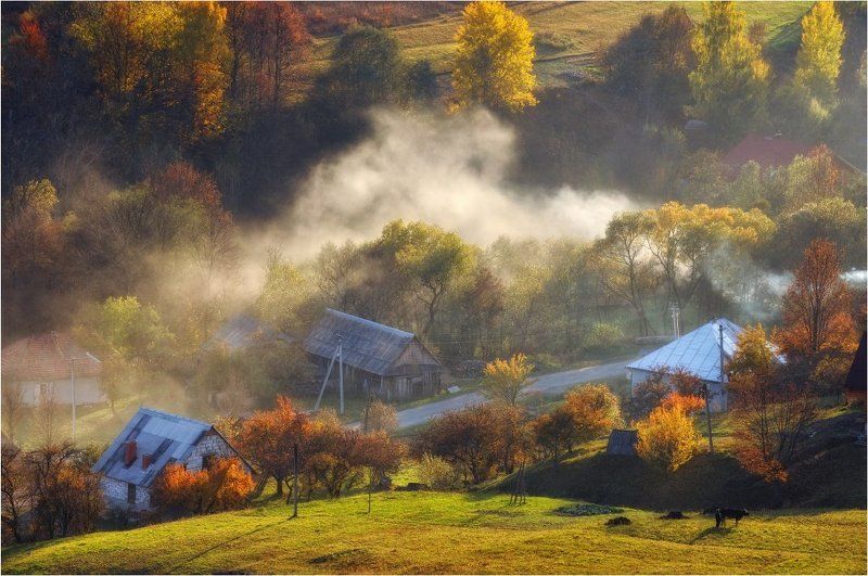 *** фото превью