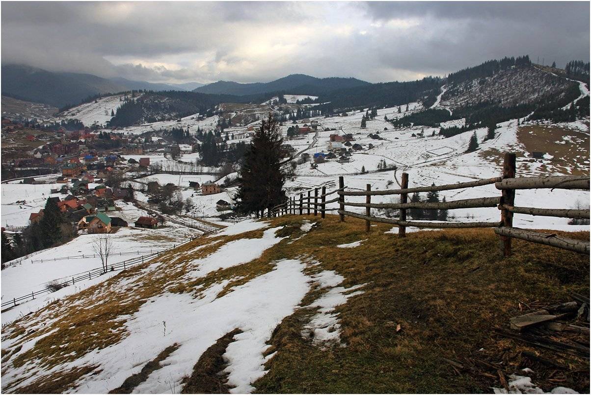 , Тарасов Алексей