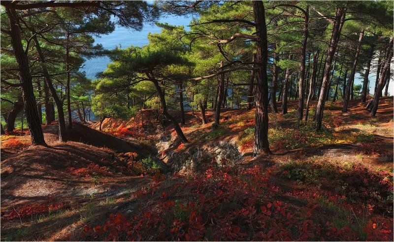 Осень в Голубой бездне фото превью