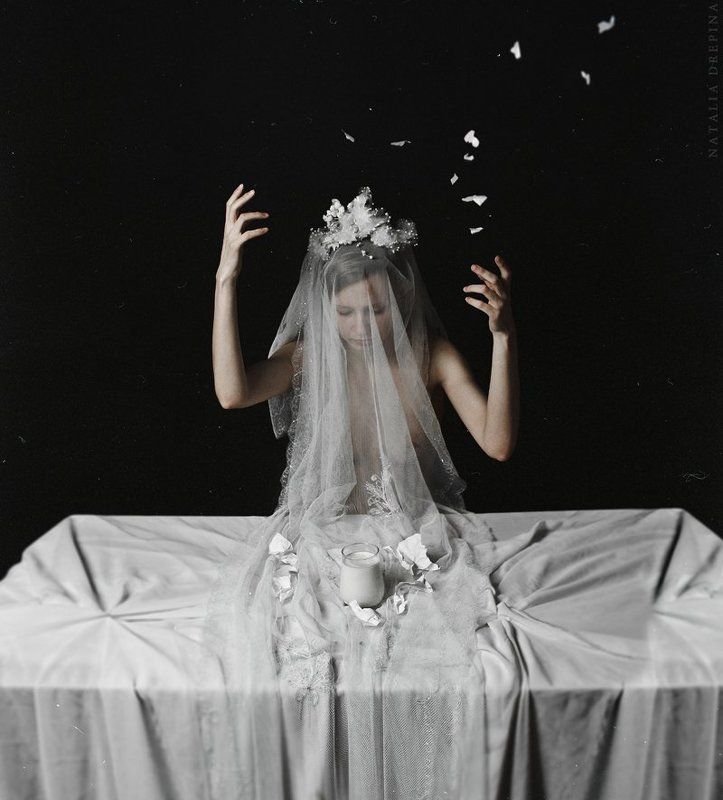 Somnolent Still Life: Dairy Mourning фото превью