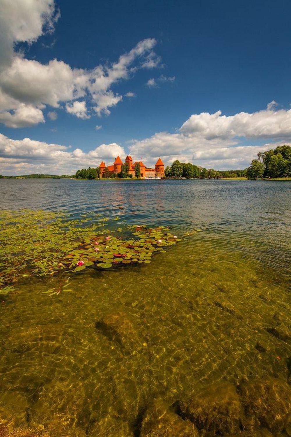 , Владимир Водяницкий