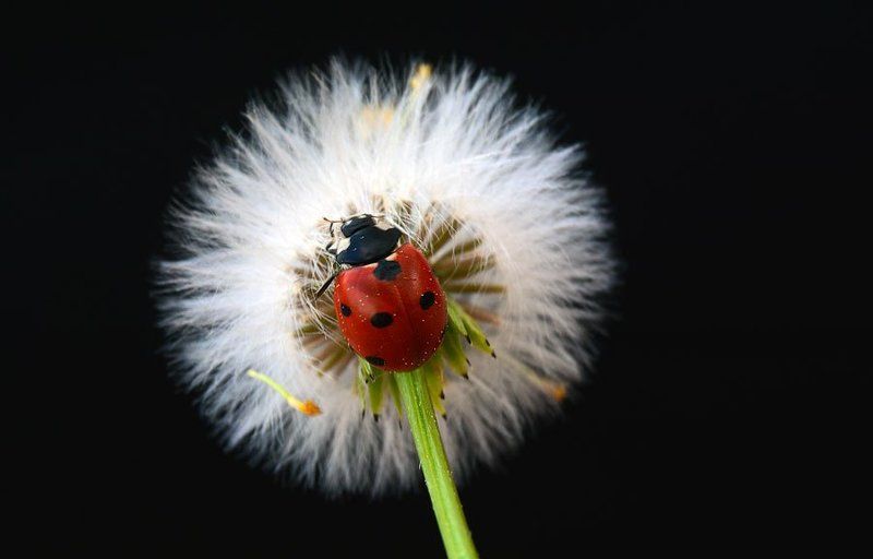 küçük öyküler фото превью