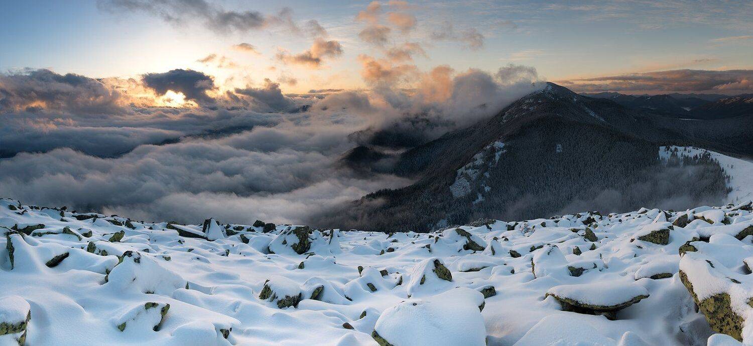 , Роман Стативка