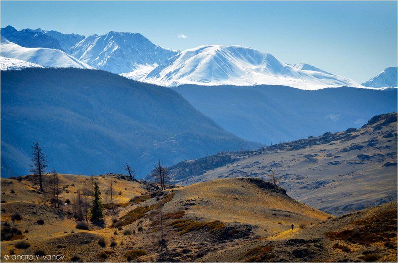 Декорации Курая фото превью