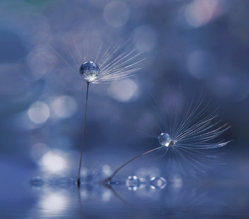 ``.```.`` фото превью