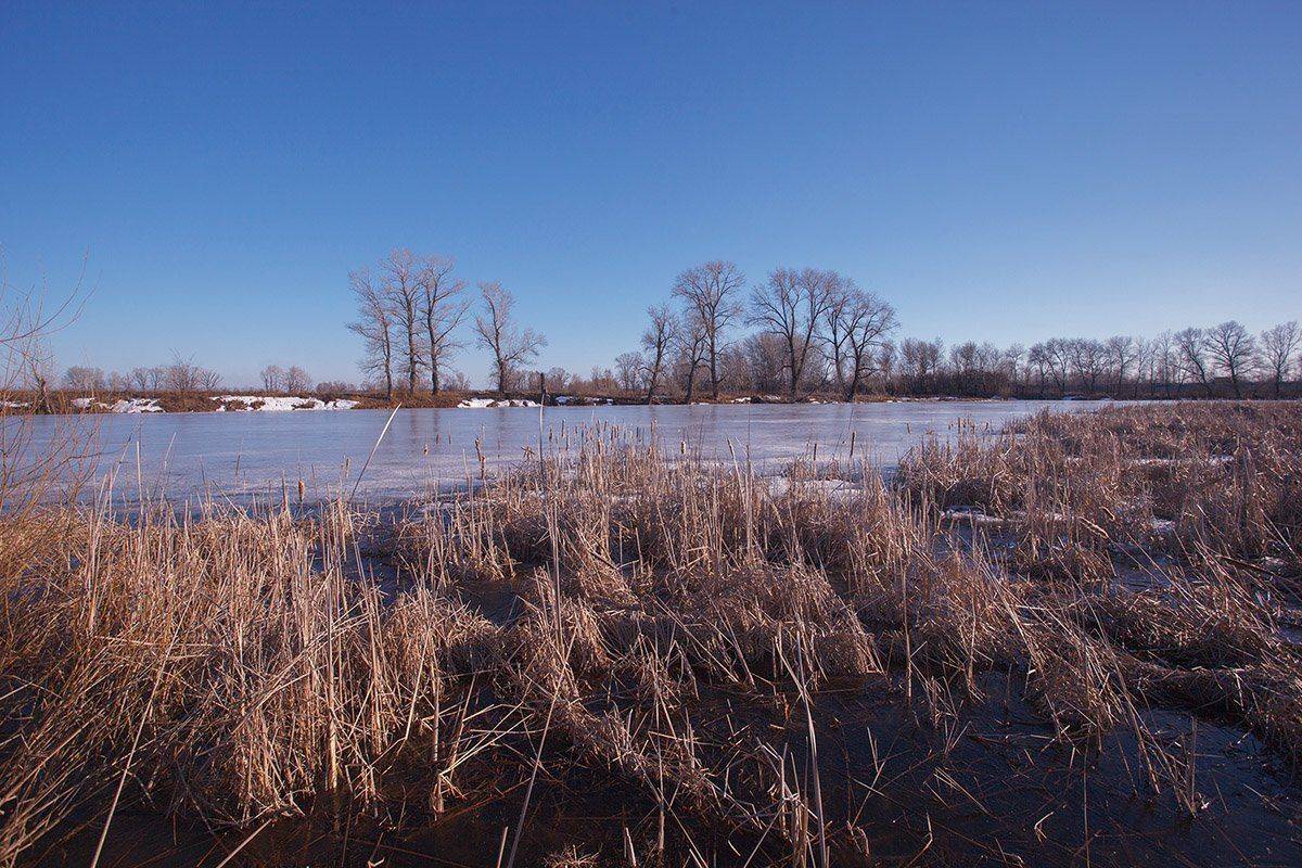 , Максим Филипов