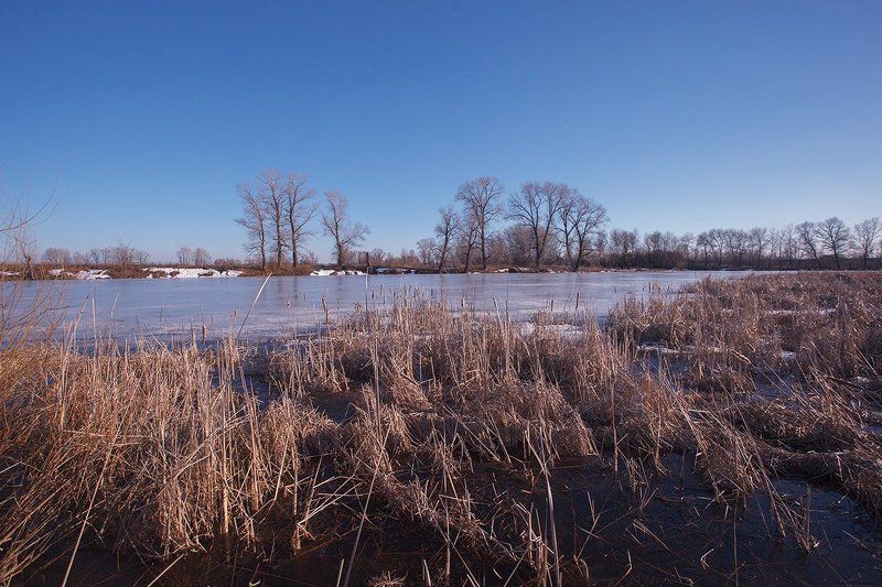 * фото превью