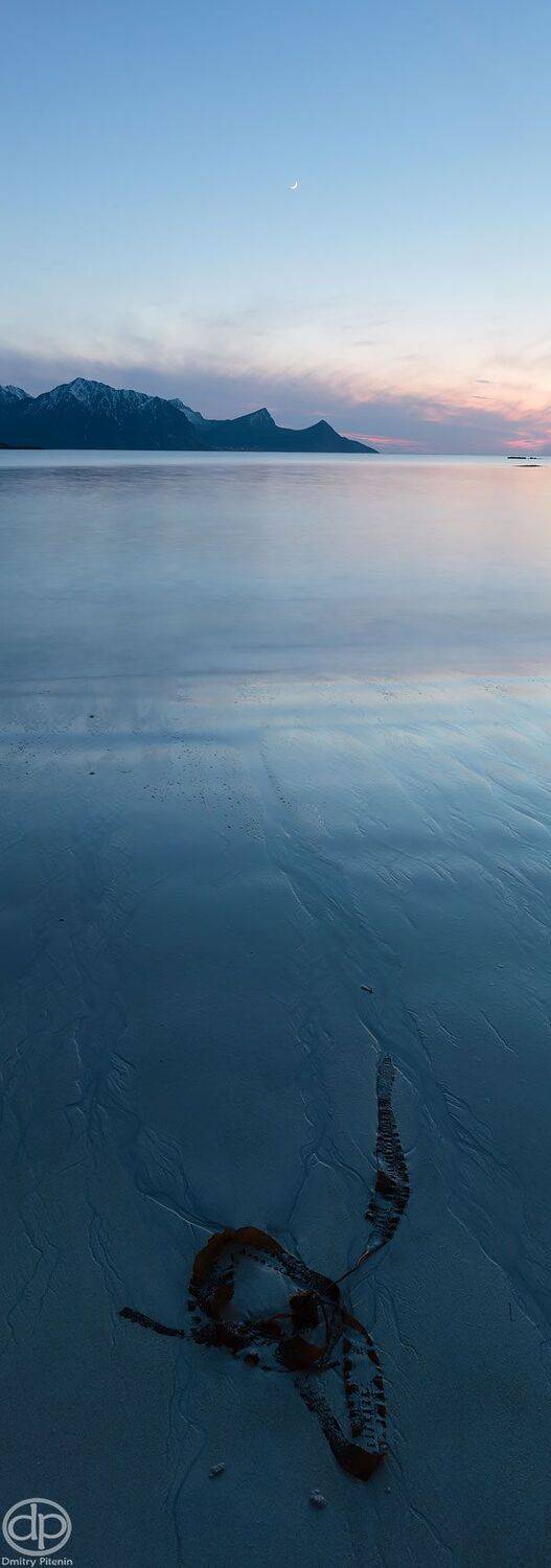 , Питенин Дмитрий