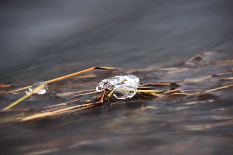 Царство льда и воды. фото превью