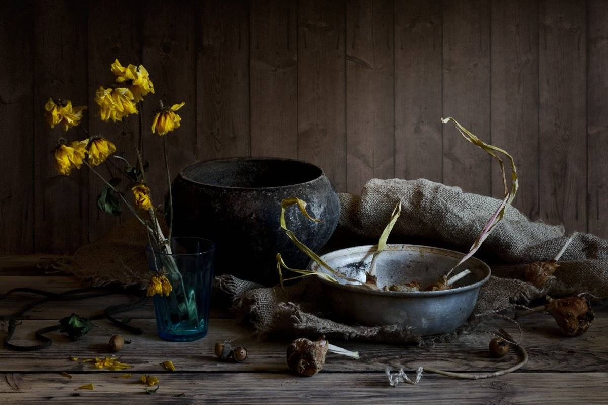 , Елизавета Шавардина