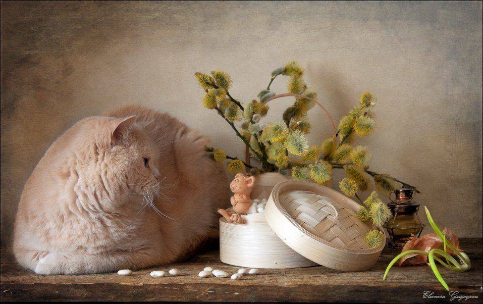 , Eleonora Grigorjeva