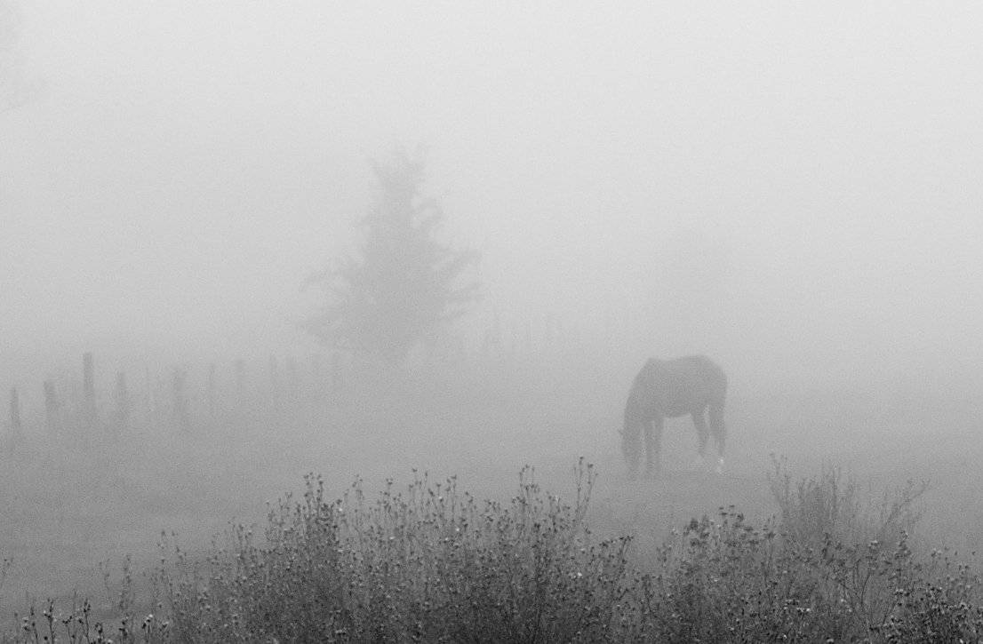 , Валерий Смирнов