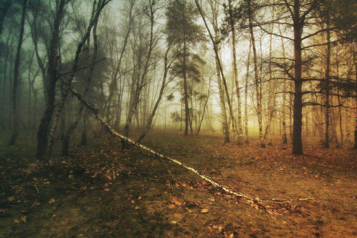 , Михаил  Пилипенко